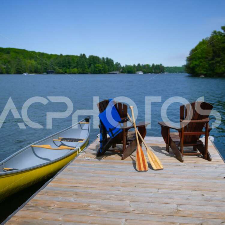 Adirondack chairs canoe and paddles 2796