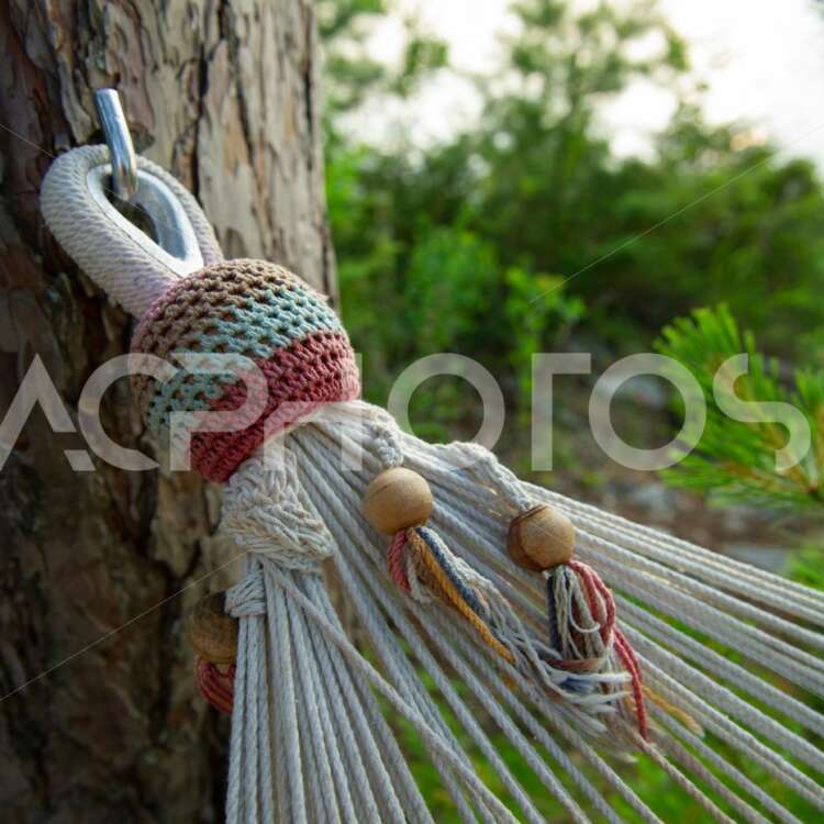 Close up of hammock tree anchor 2582