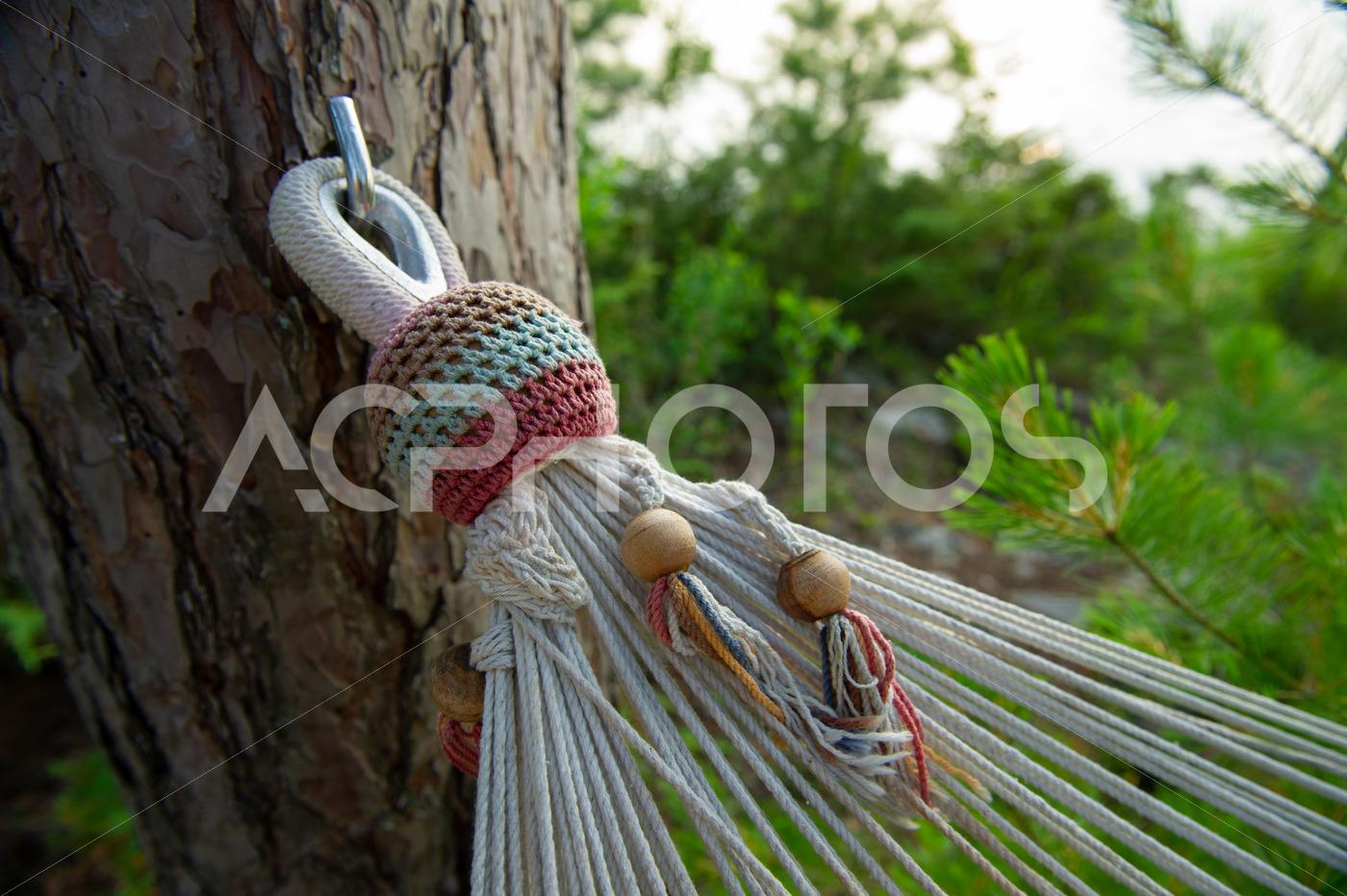 Close up of hammock tree anchor 2582