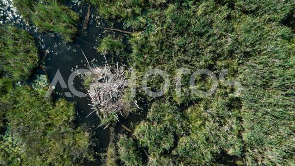 Details of a beaver dam aerial view 3510