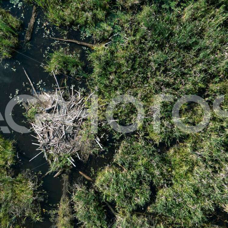 Details of a beaver dam aerial view 3510