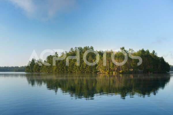 View of a lake in Muskoka on an Early Summer Morning 3466