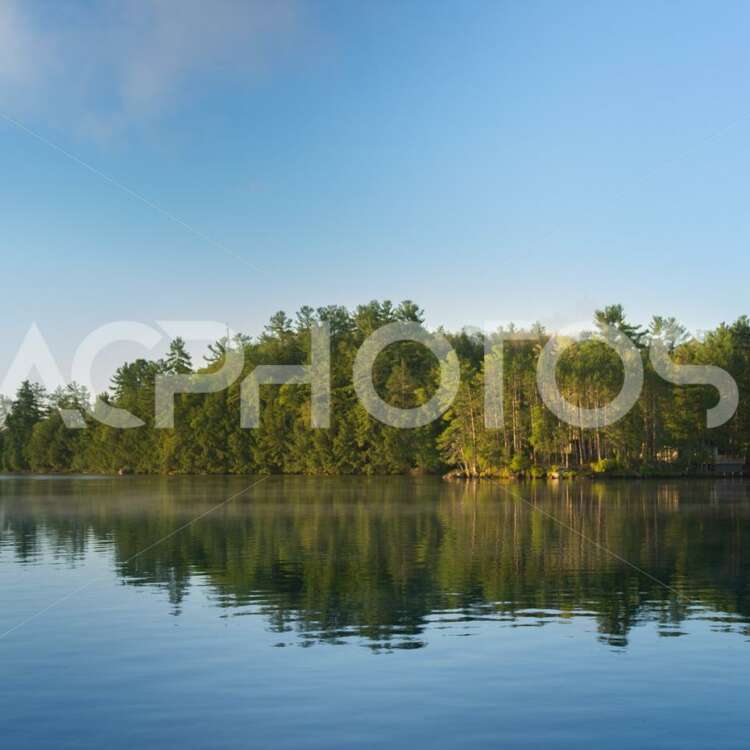 View of a lake in Muskoka on an Early Summer Morning 3466