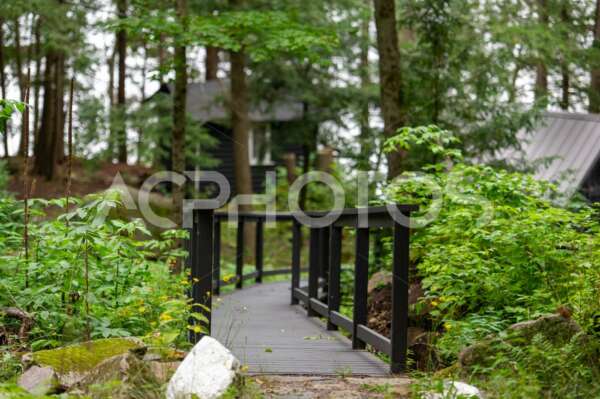 Cottage country, wooden walkboard path. - GettaPix